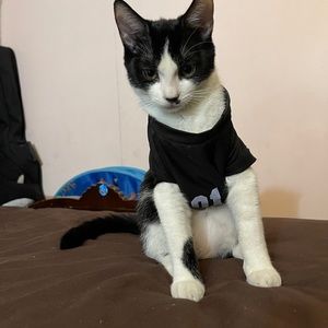 Meet your Posher, Ludy